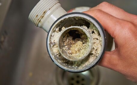 Blocked Drains Attract Pests?